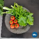 SAMPLE_21-o4.webp