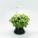 minigarden-todohydro-todohidro-wm-3-light.webp
