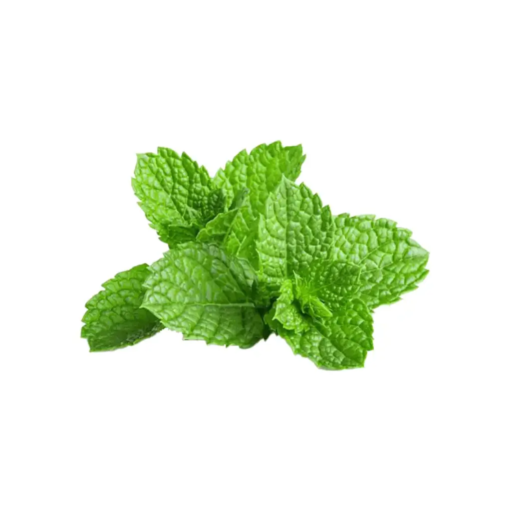 [SEED11] Menta