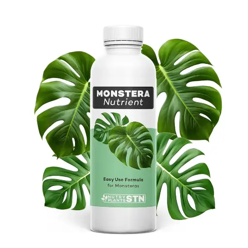 Monstera Plant Food | ToDo Hidro Colombia